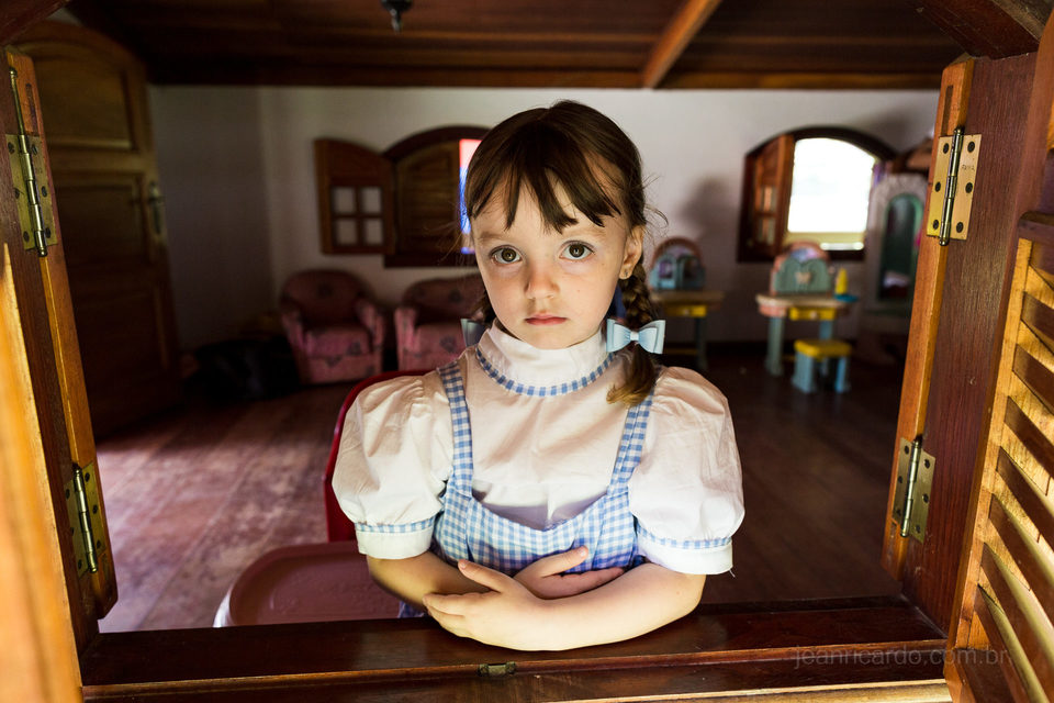 Aniversário 04 Aninhos da Laura