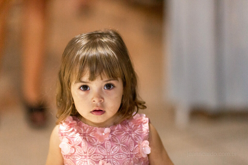 Aniversário 02 Aninhos da Antonella